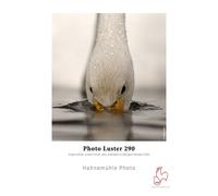 Hahnemühle Photo Luster 290g • 24'' (61cm x 30m)