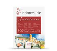 Hahnemuhle : Andalucia block 500g/m²(235lb) 30x40cm : 12 feuilles Rugueux : reverse side is Not