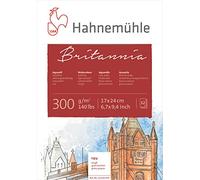 Hahnemuhle Britannia 300gsm Block - 17 x 24cm Rough