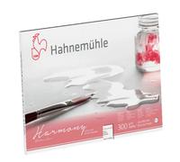 Hahnemuhle Carnet De Dessin 10628040