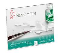 Hahnemuhle Carnet De Dessin 10628760
