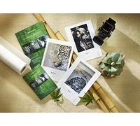 Papier jet d'encre HAHNEMÜHLE - Sample Pack - Gamme FineArt Natural Line - A3+ (3 x 2 feuilles)