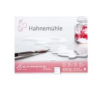 Hahnemuhle Harmony Watercolour Block,12 sheets, 24x30cm NOT