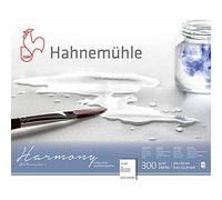 Hahnemuhle Harmony Watercolour Block,12 sheets, 24x30cm Rough