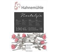 Hahnemuhle nostalgie Sketch Pad 16.5X23 Inche