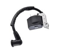 HAHvvBOF Bobine d'allumage Compatible avec BL110 BL160 M2510 M2500 316711370 316711470 316794470 41AD251G900 41BDZ11G799 753-06420