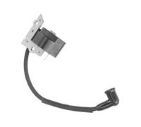 HAHvvBOF Bobine d'allumage Compatible avec WT200 SM706 SM705 SM400 PVB210E PPBVM200 PPB2000LE PPB200 PP325 PP25E PP258TP PP125E PP125 530039229