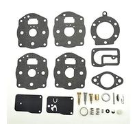 HAIBING Kit de réparation de carburateur de Haute qualité, Reconstruction de carburateur, révision Compatible avec Briggs Stratton 394502 402447 402451 402707 422437 422442 491539 694056