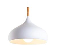 HAIDU Abat-Jour de Suspension en Aluminium coloré, plafonnier d'éclairage de Style Moderne créatif, Lustre de Plafond de Source Lumineuse E27, Lampe Suspendue de Porche de Bar et de Restaurant