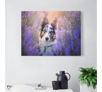HAIDU Diamant Peinture Berger Australien Chien DIY Plein Rond Strass Broderie Art Adulte Par Numéro Peinture Kit Décor À La Maison Cadeaux(30x40cm