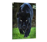 HAIDU Diamond Painting Point De Croix Diamant Broderie Animal Noir Panthère Motifs Complet DIY 5D Diamant Rond Peinture Strass Mosaïque Décoration(40x50cm