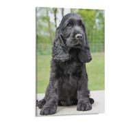 HAIDU DIY 5D Diamond Painting Kit Forage Complet Cocker Spaniel Chien Noir Diamant Peinture De Croix Peinture Strass Broderie Craft Pour Home Décoration Mural(40x50cm