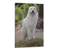 HAIDU DIY Diamant Peinture Grands Pyrénées Chiens Rond Strass Diamants Adultes Par Numéro Peinture Art Kit Point De Croix Artisanat Décoration De La Maison Cadeaux(50x60cm