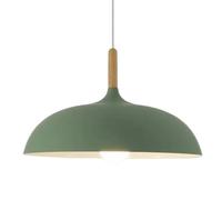 HAIDU Luminaires de Plafond à Base E27, Lustre de Style Minimaliste Nordique, Abat-Jour de Lampe à Suspension en métal de Couleur créative, Lampe Suspendue de décoration de Magasin de vêtements de re