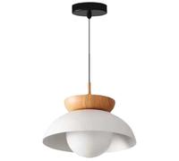 HAIDU Lustre à une tête avec douille E27, abat-jour suspendu en fer forgé de style industriel, luminaires de plafond, suspension décorative pour salon, chambre ou cuisine