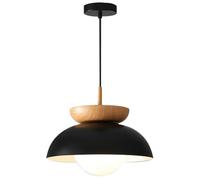 HAIDU Lustre moderne en fer forgé de style industriel, suspension à une tête avec culot E27, plafonnier encastré, luminaire décoratif pour salon, chambre ou bar