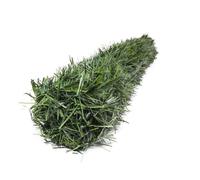 WERKA PRO Haie Artificielle Verte 0,8 x 3m