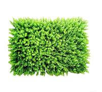 Haie murale verte 40 x 60 cm pour bureau à domicile (#2) | Aspect vert réaliste, taille 40 x 60 cm, s'adapte aux murs de la maison, des bureaux, brise-vue en plastique résistant aux UV
