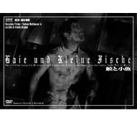 Haie und Kleine Fishe [Import allemand]