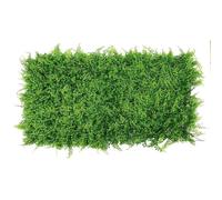 Haie Verdecor A Panneau Amazonie 0,50X1MT Verdemax