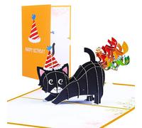 haierdidi Carte d'anniversaire pop-up 3D - Motif chat - Carte de félicitations - Surprise