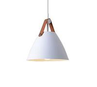 HAIIQU Éclairage Suspendu Noir Abat-jour Triangle Unique En Métal À Tête Unique Luminaires Industriels Créatifs Petit Luminaire Suspendu De Cuisine Luminaire Suspendu Pour Salle À Manger Salon Chambre