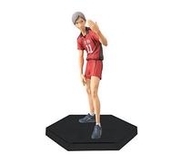 Haikyuu Dxf Vol.9 Figurine Haibane Riefu