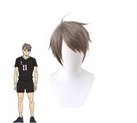 Haikyuu !! Miya Osamu courte perruque de Cosplay gris-noir résistant à la chaleur cheveux synthétiques Haikiyu fête jeu de rôle Costume perruques