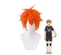 Haikyuu Tetsurou Cosplay Perruque Jeu de Rôle Noir Inversé Court Costumes Cheveux Perruque Bonnet pour Femmes Hommes Garçons Filles Halloween Week-end Party (Tetsurou)