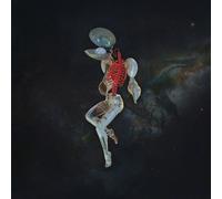 Hail Spirit Noir Fossil Garden (Vinyl)