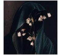 Hail The Void - Memento Mori [Compact Discs]