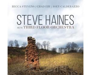 Haines Steve & the Third Floor Orchestra - Steve Haines & the Third Floor Orchestra