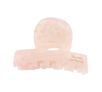 Hair Clips, Adorable Medium Hair Clamps, Aesthetic Stylish Small, Half Hairclips Non Slip Strong Hold, Ideal Accessories for Women, Girls, and Kids, 2.4 inches