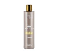 Hair Company Inimitable Style Density Mask 200ml - masque volume