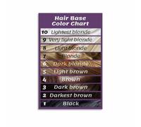 Hair Darkness Scale Poster for Beauty Academy and Professional Colorist Workspace