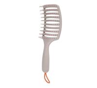 Hair Detangler Brush | Curved Design for Scalp Comfort/Gentle Detangling | Lightweight Plastic Brush for Adults & Young Users | 8 Rows Rounded Strands, Hollow Back