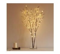 Hairui Branche de Saule Éclairée Brun avec LED Lumières 80CM 100LED Fonctionner à Piles Brindille Lumières Pré-allumés pour Décoration Intérieure Extérieure 2PCs (Vase Exclus)