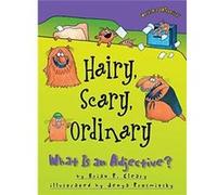 Hairy Scary Ordinary What is an Adjective by Brian Cleary Brian P. Cleary (Auteur)