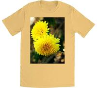 haitan Frank Zappa - Mens Weasels Ripped My Flesh T-Shirt - Yellow Size L