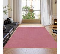 HaiTaoSy Tapis Salon Moderne, Moelleux à Poils Longs, Tapis Lavable en Machine, Dessous Antidérapant, Ne Perd Pas Ses Poils, pour Entree Lnterieur, Chambre, Couloir, 40x100cm, Rose