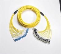 HAIZHI Cordon de Brassage Fibre Optique LC-LC 24 conducteurs, monomode, 1-30 m, 20 m, 10 m, 5 m, Faisceau SC, FC, St, E2000 SM, Lot de 24 conducteurs(10m SC-SC)