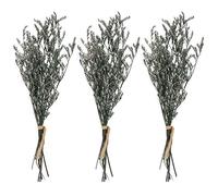 HAKIDZEL Bouquet de Fleurs Séchées Naturelles Gypsophile 3 Branches Décoratives pour Arrangement Floral Solide et Facile à Transporter, pour Décoration Extérieure