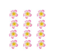 HAKIDZEL Lot de 12 Set de Set de Épingles à Cheveux en Mousse Forme Fleur Plumeria Style Bohème pour Femmes Mariage et Fête Musicale Festival