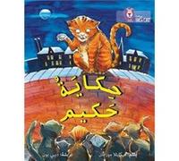 Hakims Tale by Michaela Morgan Paperback Book Inconnu (Auteur)