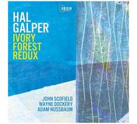 Hal Galper - Ivory Forest Redux [Compact Discs]