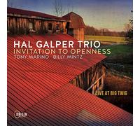 Hal Galper Trio - Hal Galper Trio : Invitation to Openness, Live at Big Twig. [Import]