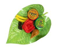 Haldi Kumkum Thamboolam Lot de 20
