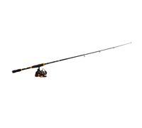 Halearo Kit de Canne à Pêche Télescopique élégante et Ensemble de Moulinet Spinning AE3000 pour Les Aventures en Eau Douce et en Eau Salée