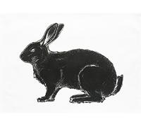 Half a Donkey The Black Rabbit - Grand torchon en Coton