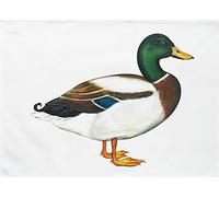Half a Donkey The Mallard - Grand torchon en Coton